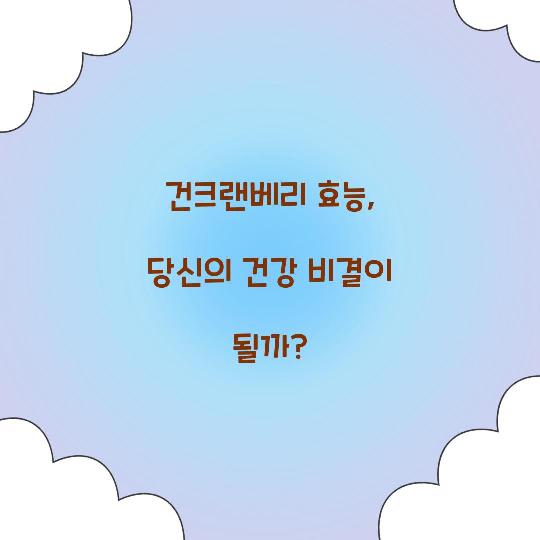 건크랜베리 효능, 당신의 건강 비결이 될까?