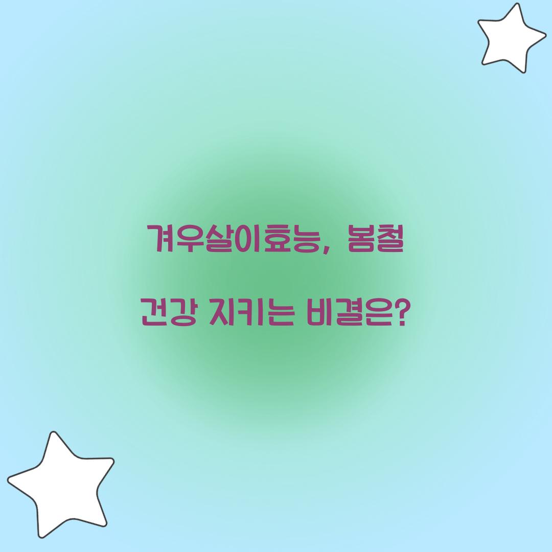 겨우살이효능, 봄철 건강 지키는 비결은?