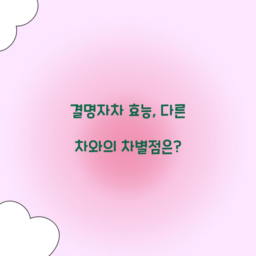 결명자차 효능, 다른 차와의 차별점은?