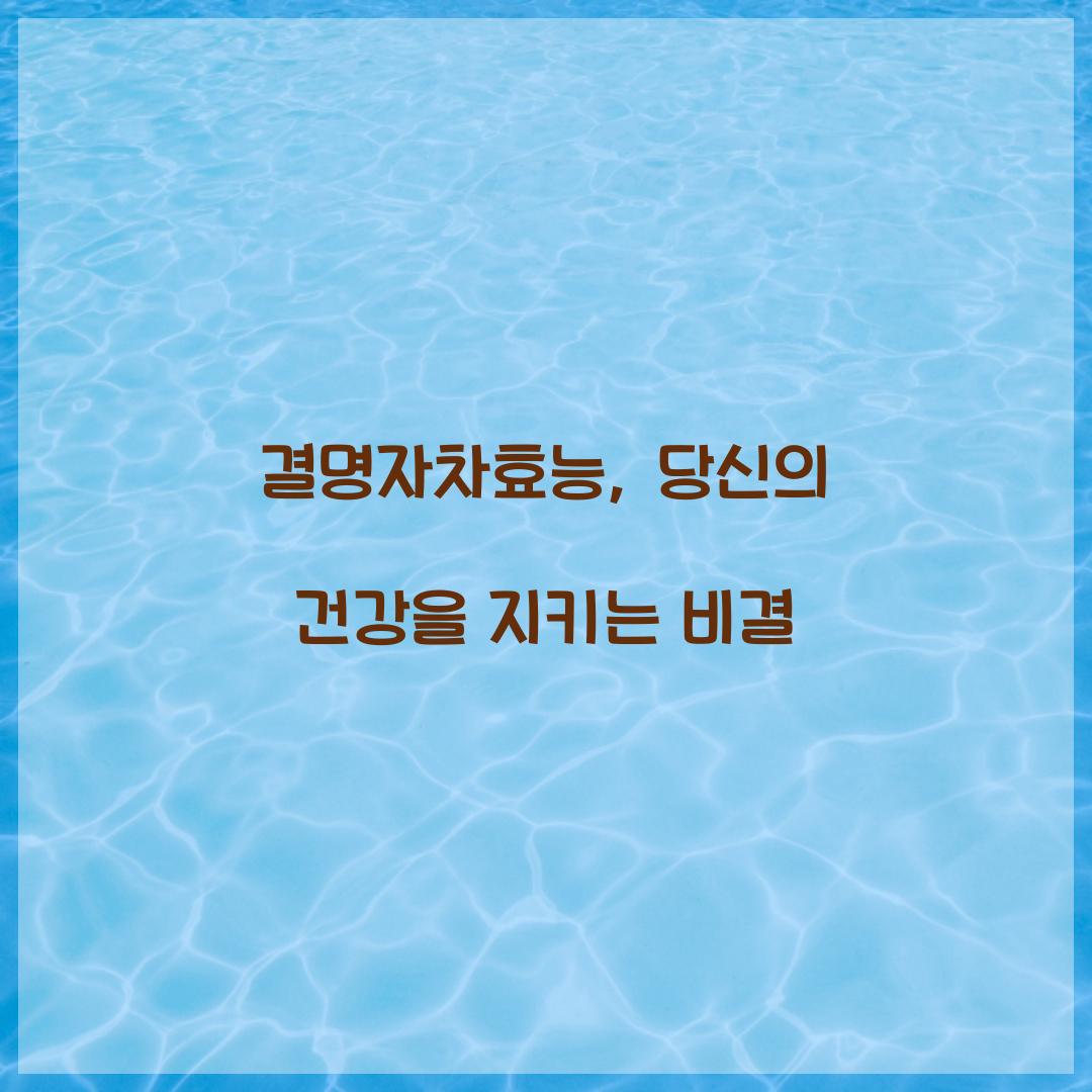 결명자차효능, 당신의 건강을 지키는 비결