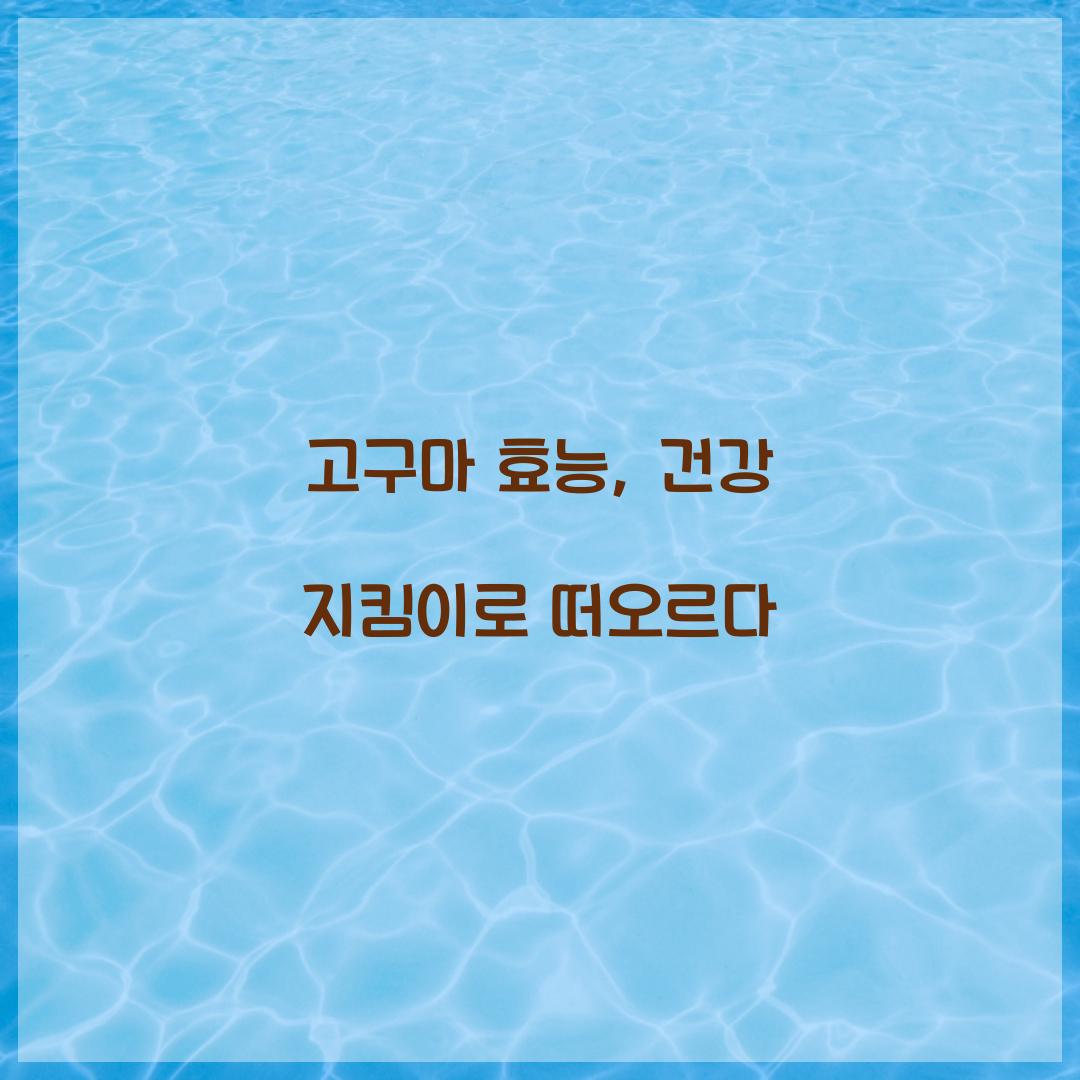 고구마 효능, 건강 지킴이로 떠오르다