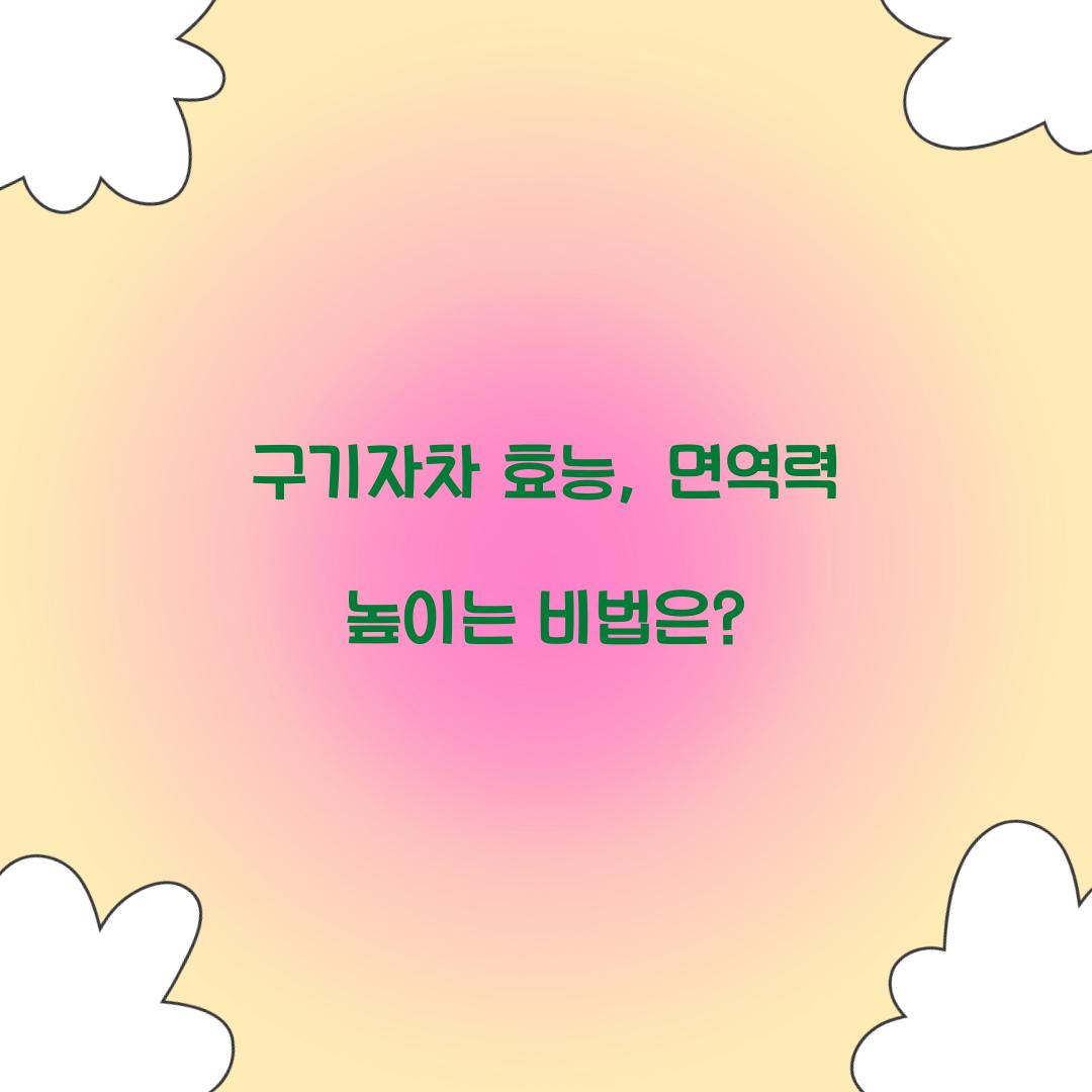 구기자차 효능, 면역력 높이는 비법은?