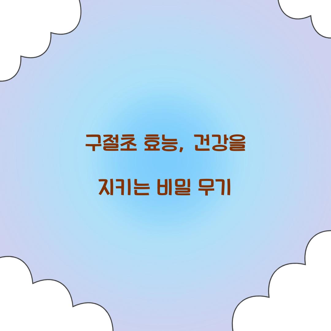 구절초 효능, 건강을 지키는 비밀 무기