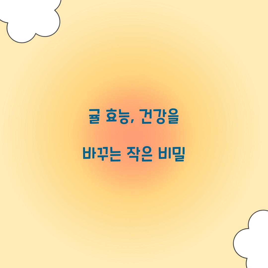 귤 효능, 건강을 바꾸는 작은 비밀