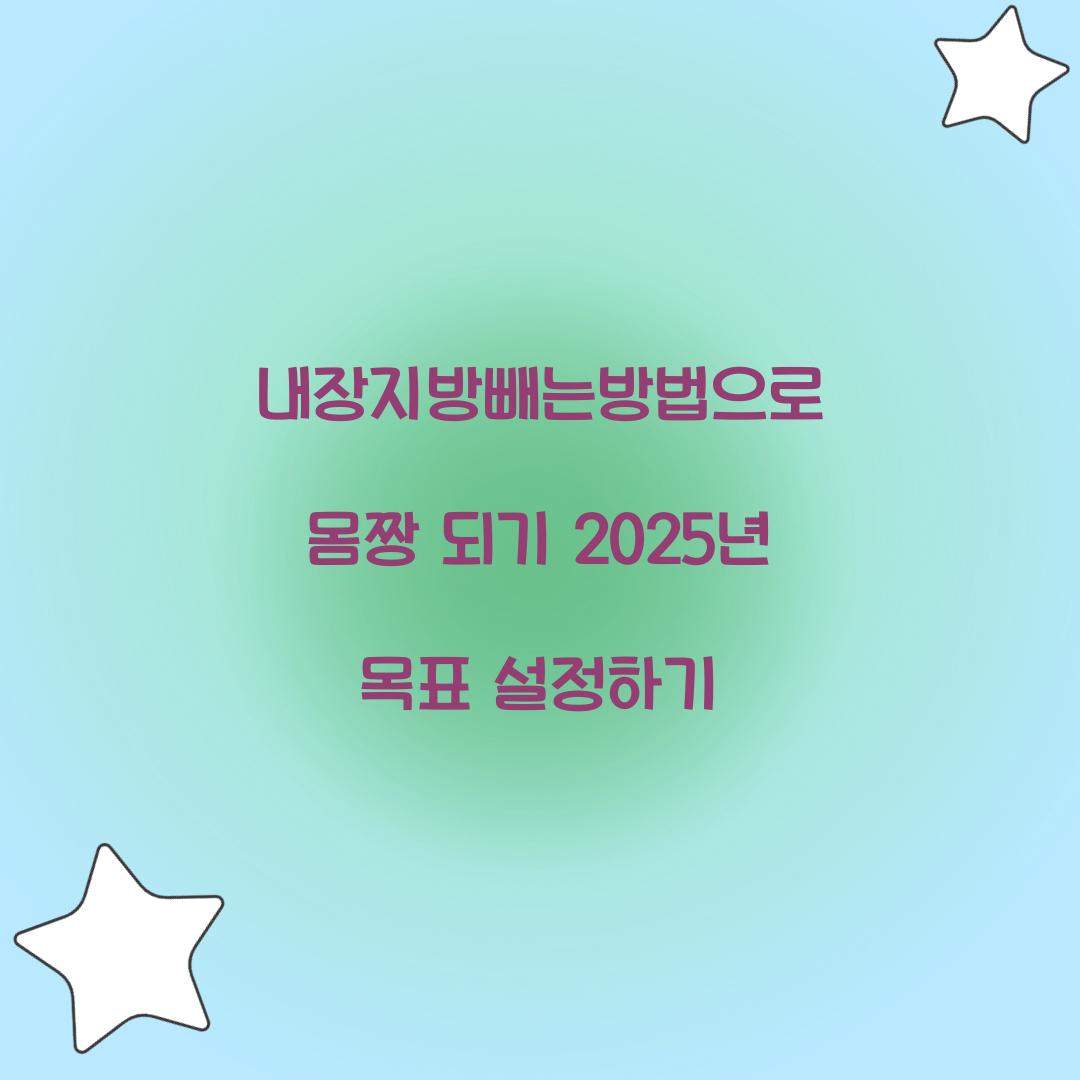 내장지방빼는방법으로 몸짱 되기 2025년 목표 설정하기