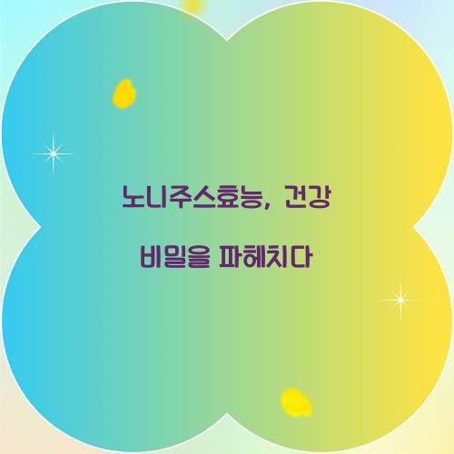 노니주스효능, 건강 비밀을 파헤치다