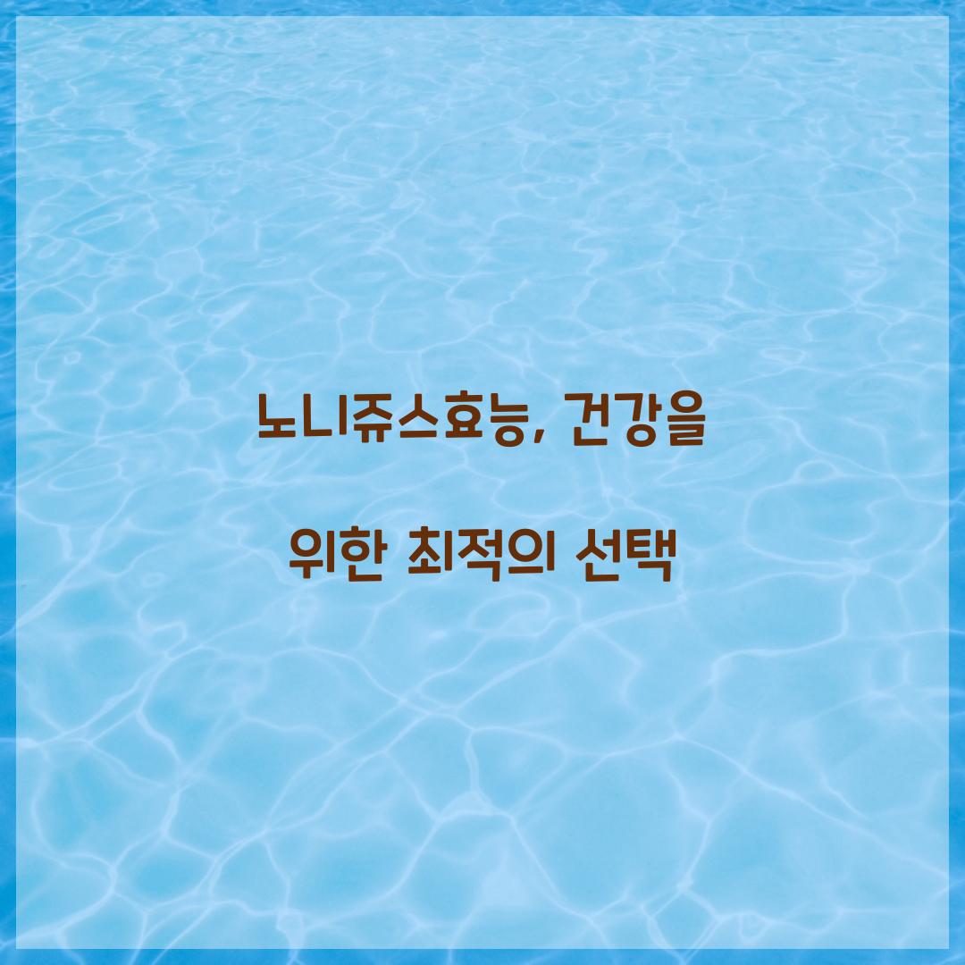 노니쥬스효능, 건강을 위한 최적의 선택