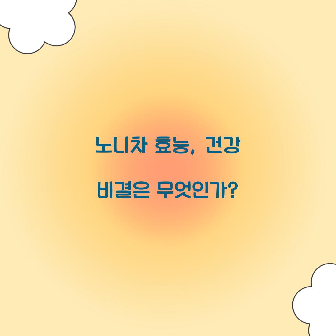 노니차 효능, 건강 비결은 무엇인가?