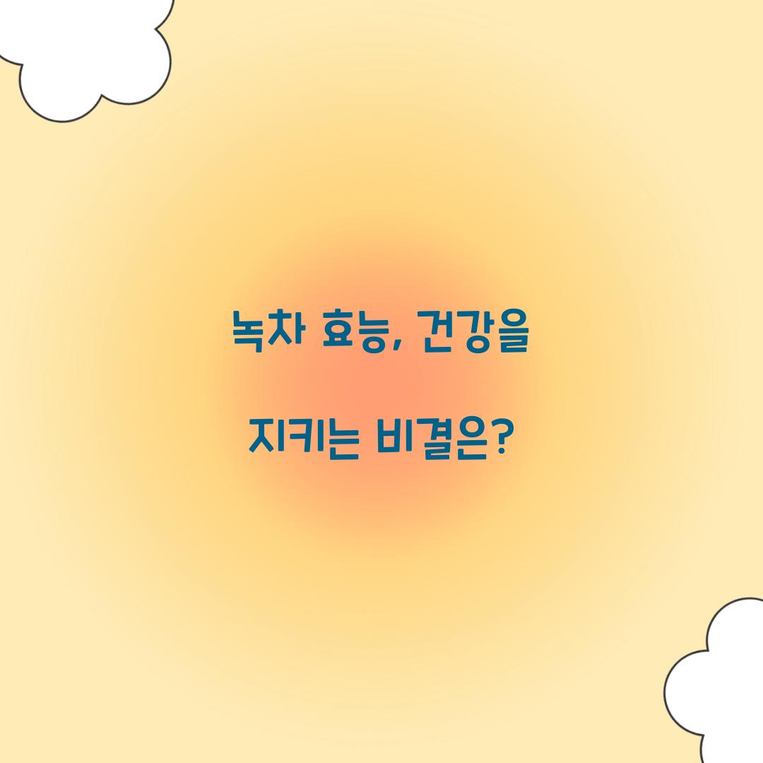 녹차 효능, 건강을 지키는 비결은?