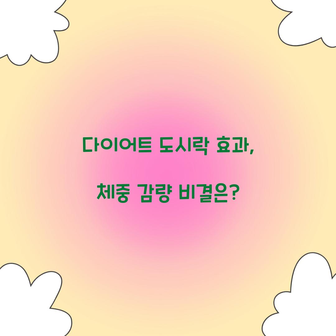 다이어트 도시락 효과, 체중 감량 비결은?