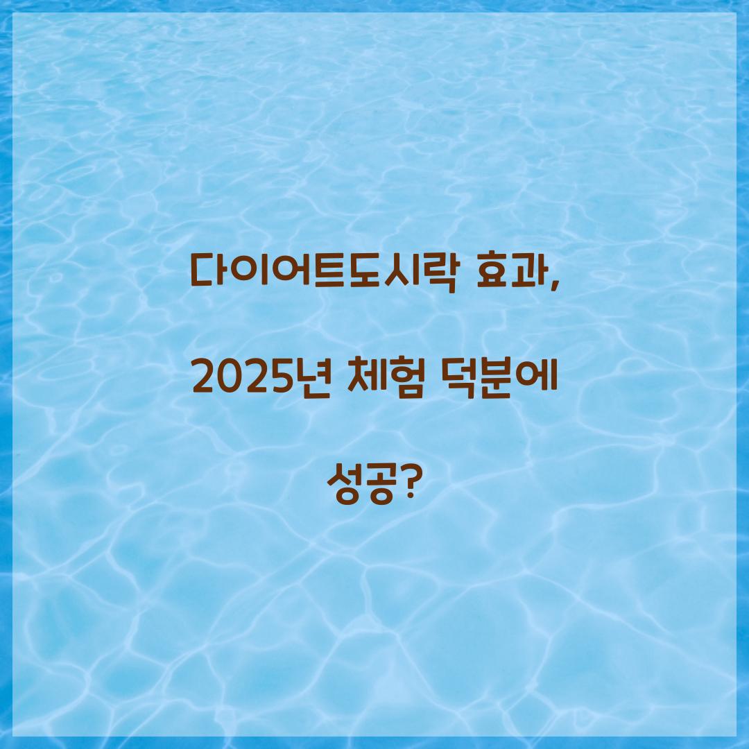 다이어트도시락 효과, 2025년 체험 덕분에 성공?