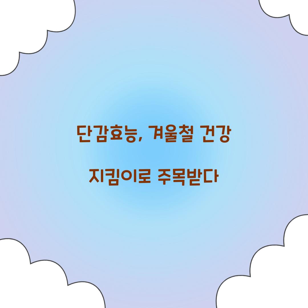 단감효능, 겨울철 건강 지킴이로 주목받다