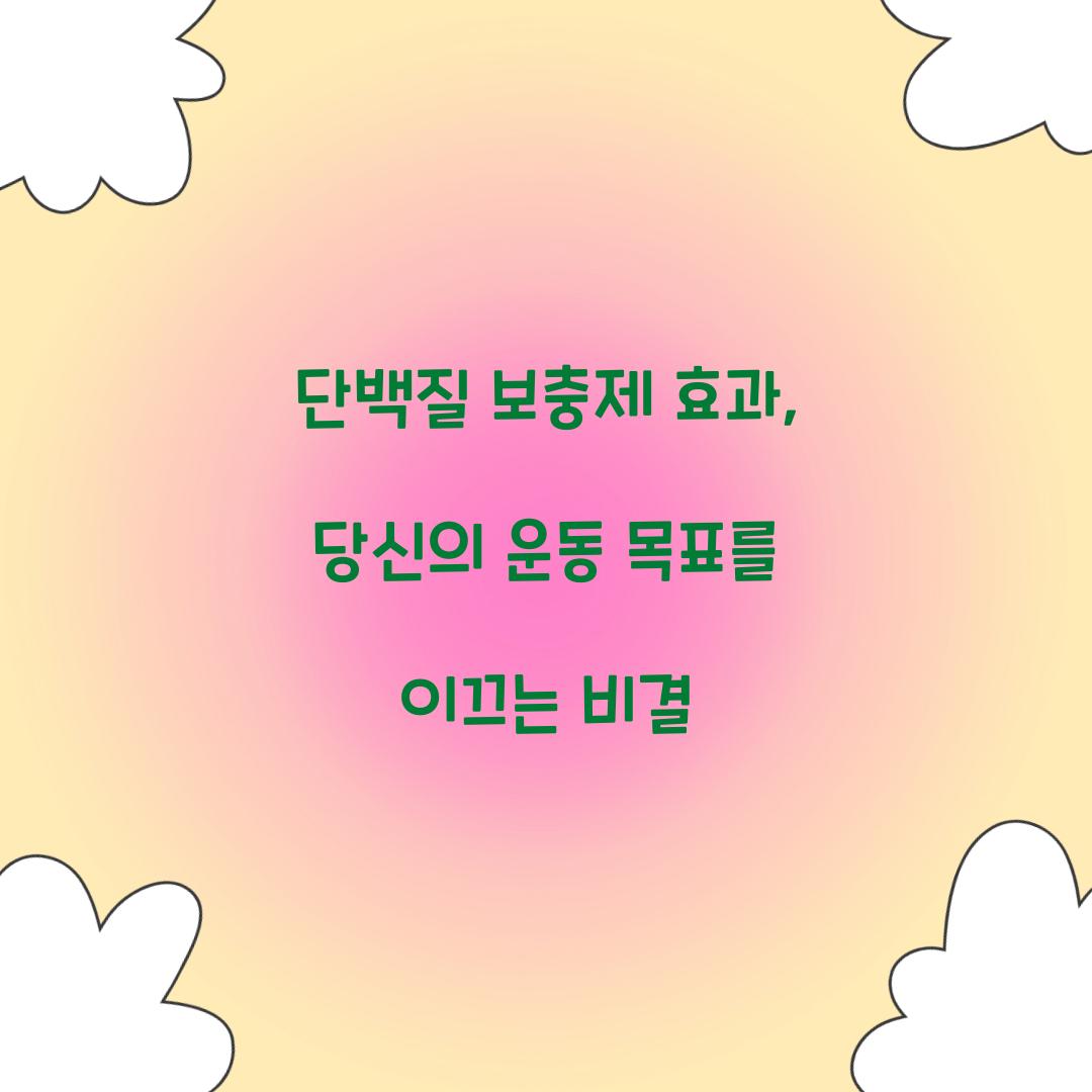 단백질 보충제 효과, 당신의 운동 목표를 이끄는 비결