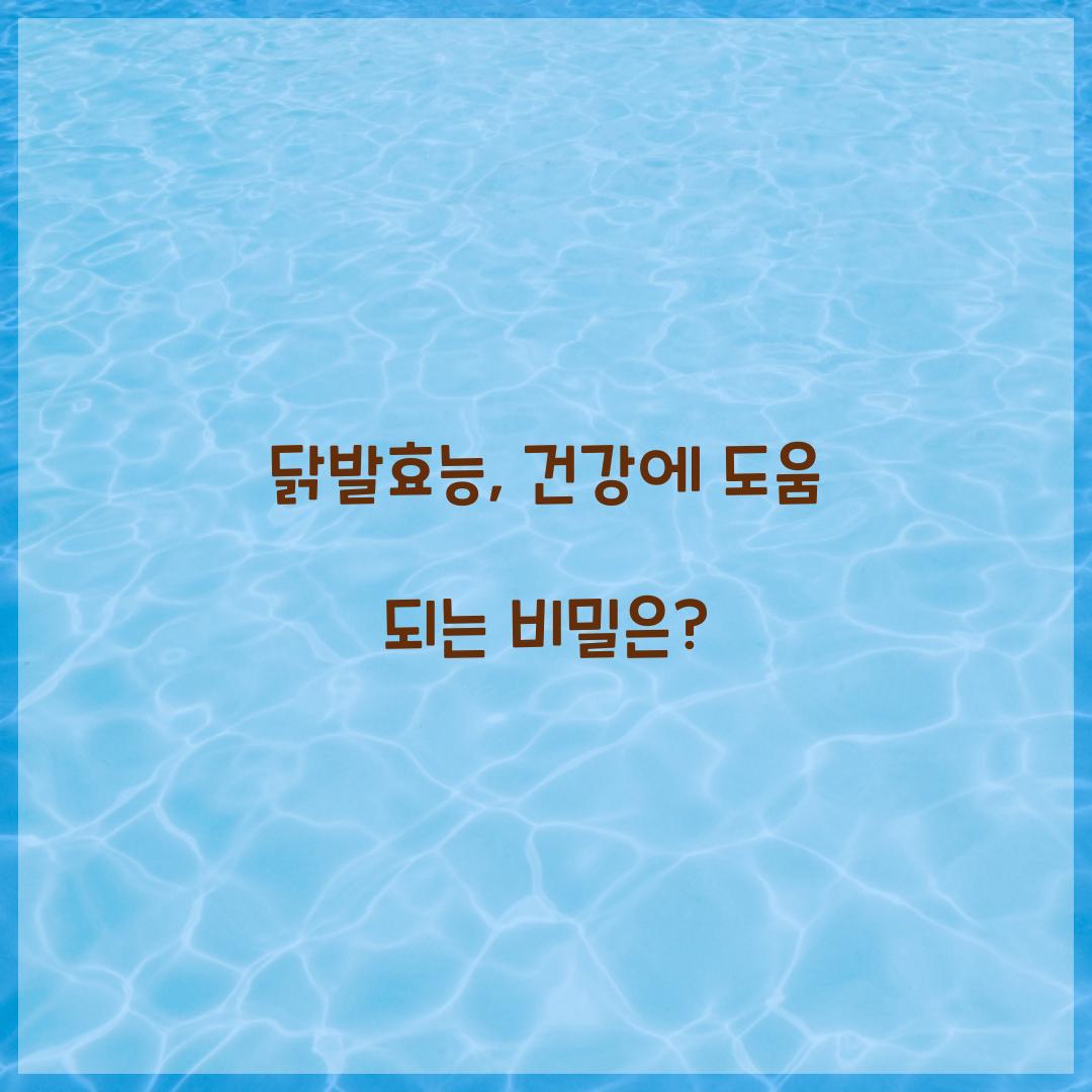 닭발효능, 건강에 도움 되는 비밀은?