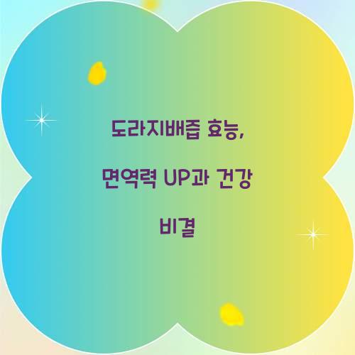 도라지배즙 효능, 면역력 UP과 건강 비결