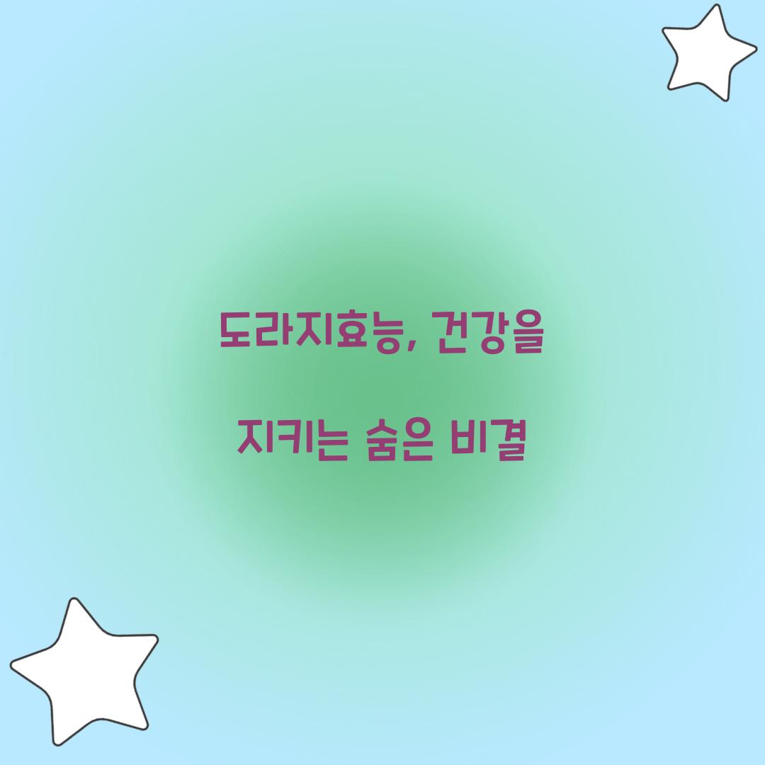 도라지효능, 건강을 지키는 숨은 비결