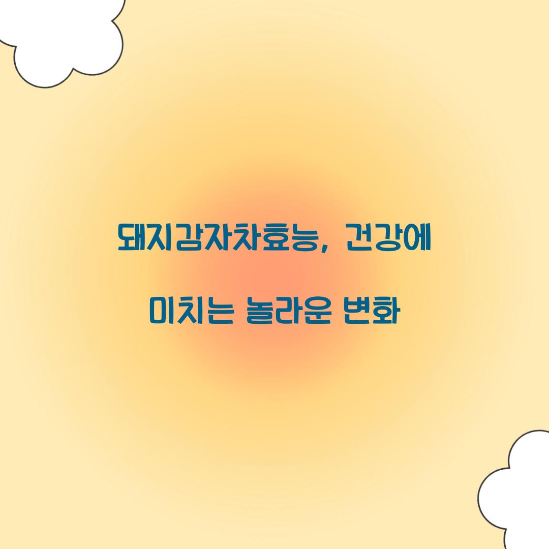 돼지감자차효능, 건강에 미치는 놀라운 변화