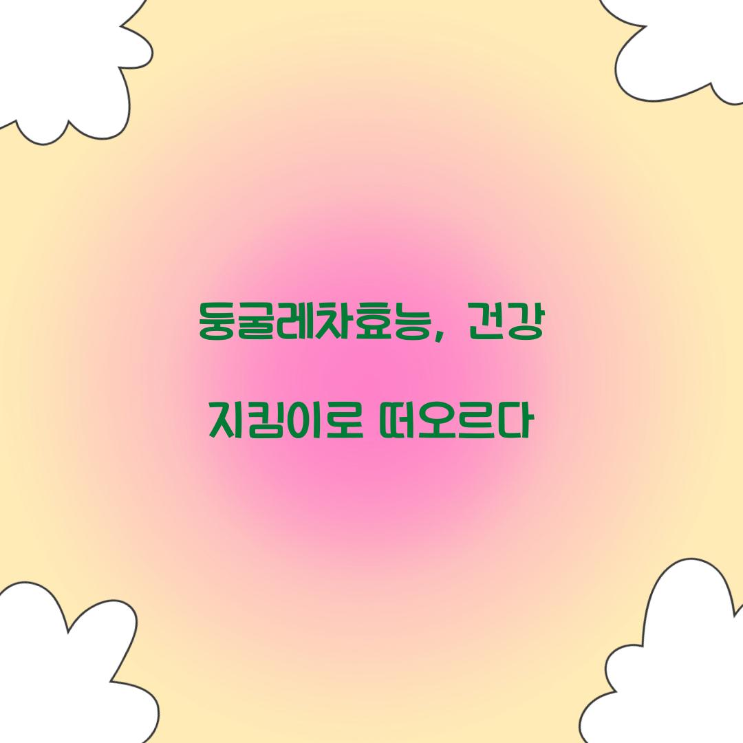 둥굴레차효능, 건강 지킴이로 떠오르다