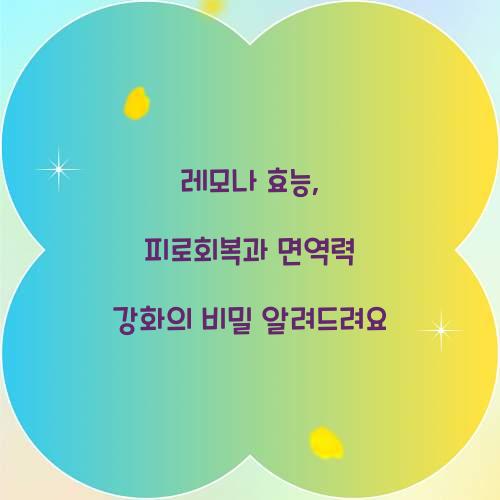 레모나 효능, 피로회복과 면역력 강화의 비밀 알려드려요