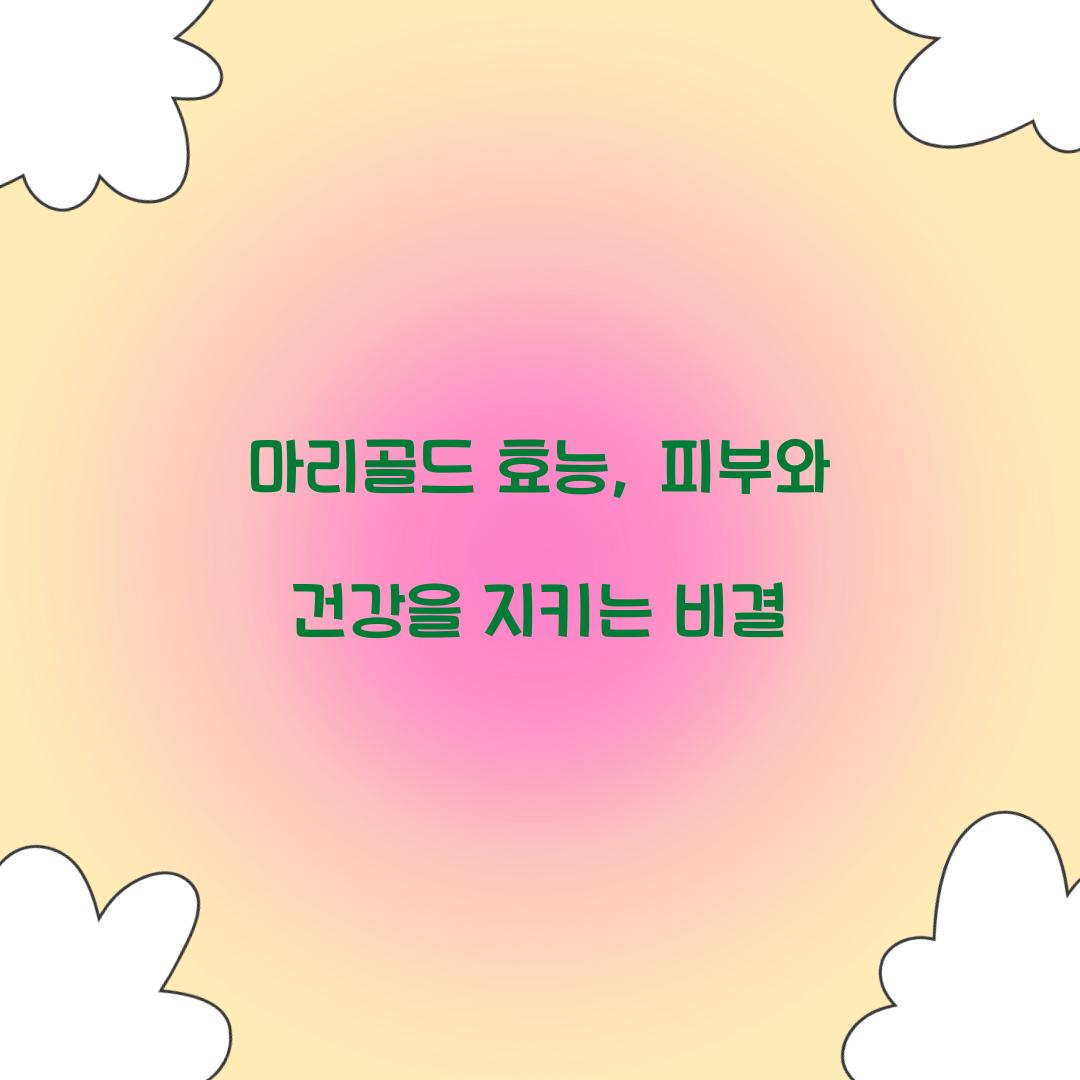 마리골드 효능, 피부와 건강을 지키는 비결