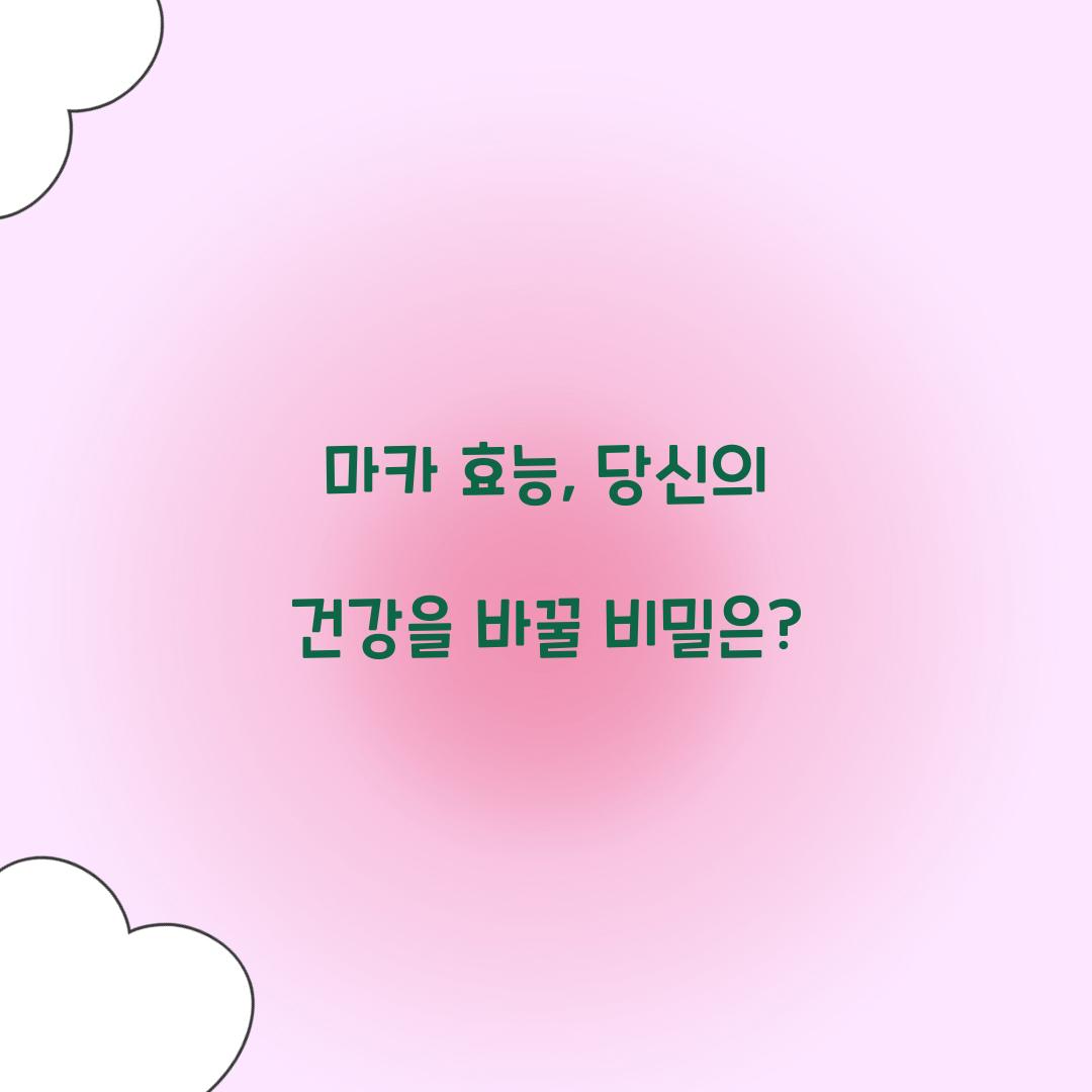 마카 효능, 당신의 건강을 바꿀 비밀은?