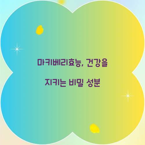 마키베리효능, 건강을 지키는 비밀 성분