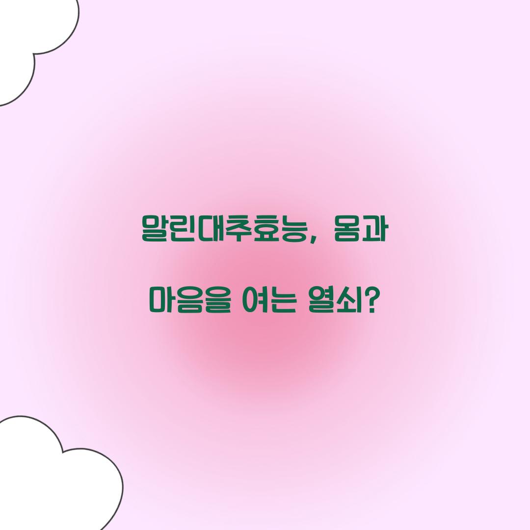 말린대추효능, 몸과 마음을 여는 열쇠?