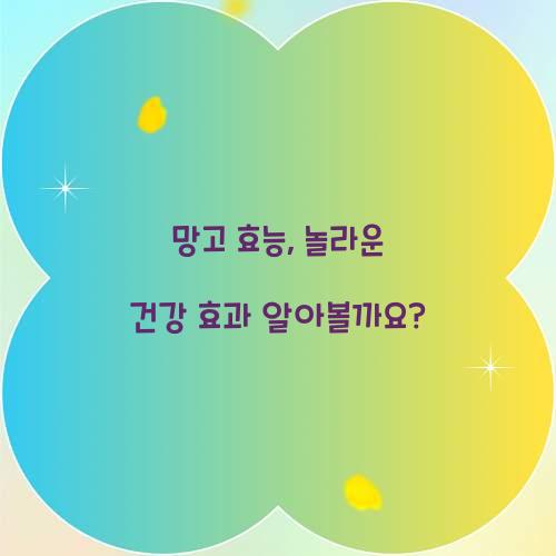 망고 효능, 놀라운 건강 효과 알아볼까요?