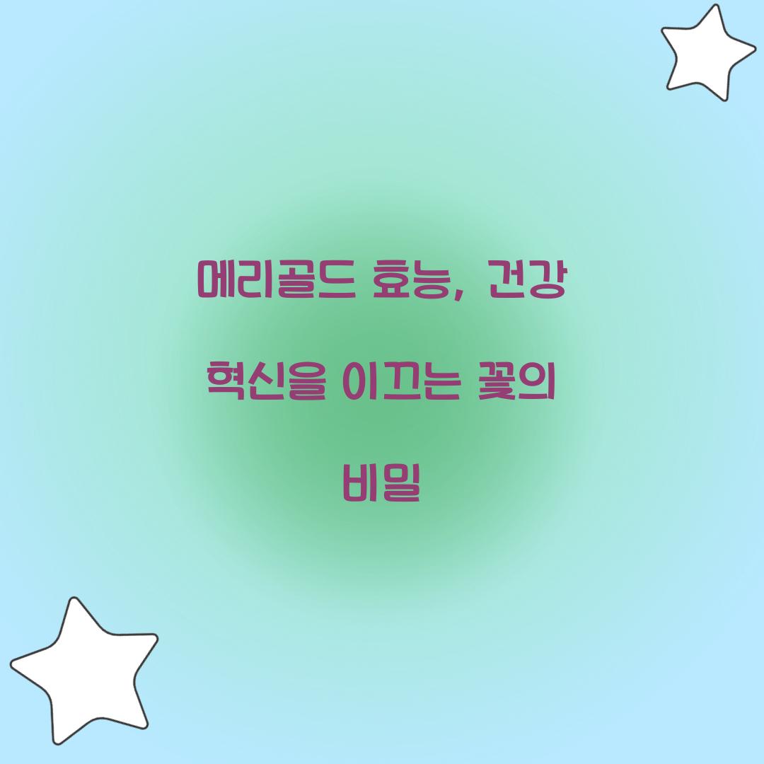 메리골드 효능, 건강 혁신을 이끄는 꽃의 비밀
