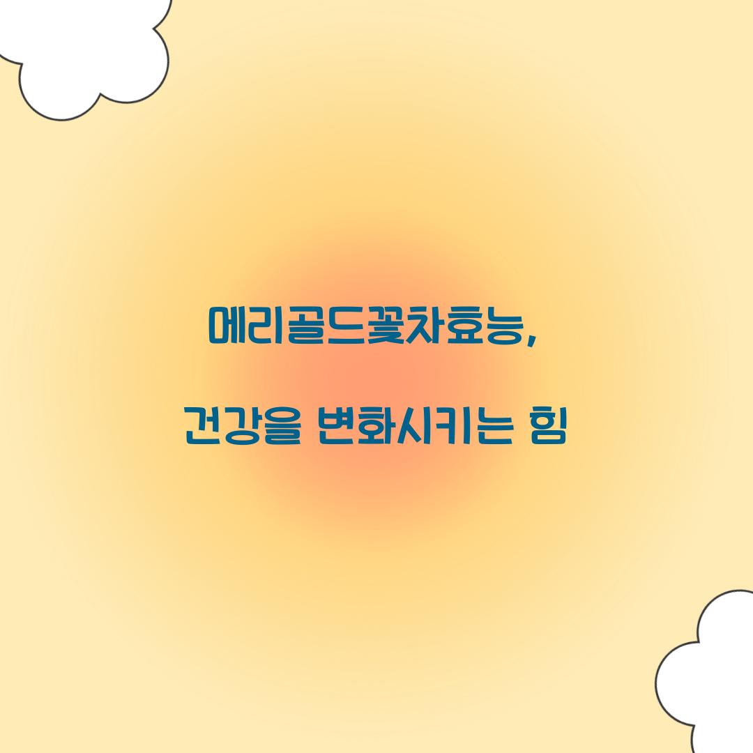 메리골드꽃차효능, 건강을 변화시키는 힘