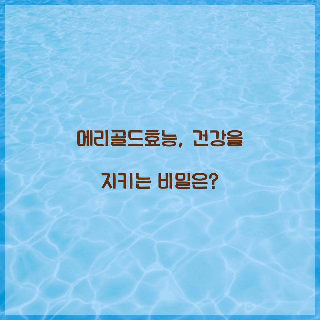 메리골드효능, 건강을 지키는 비밀은?