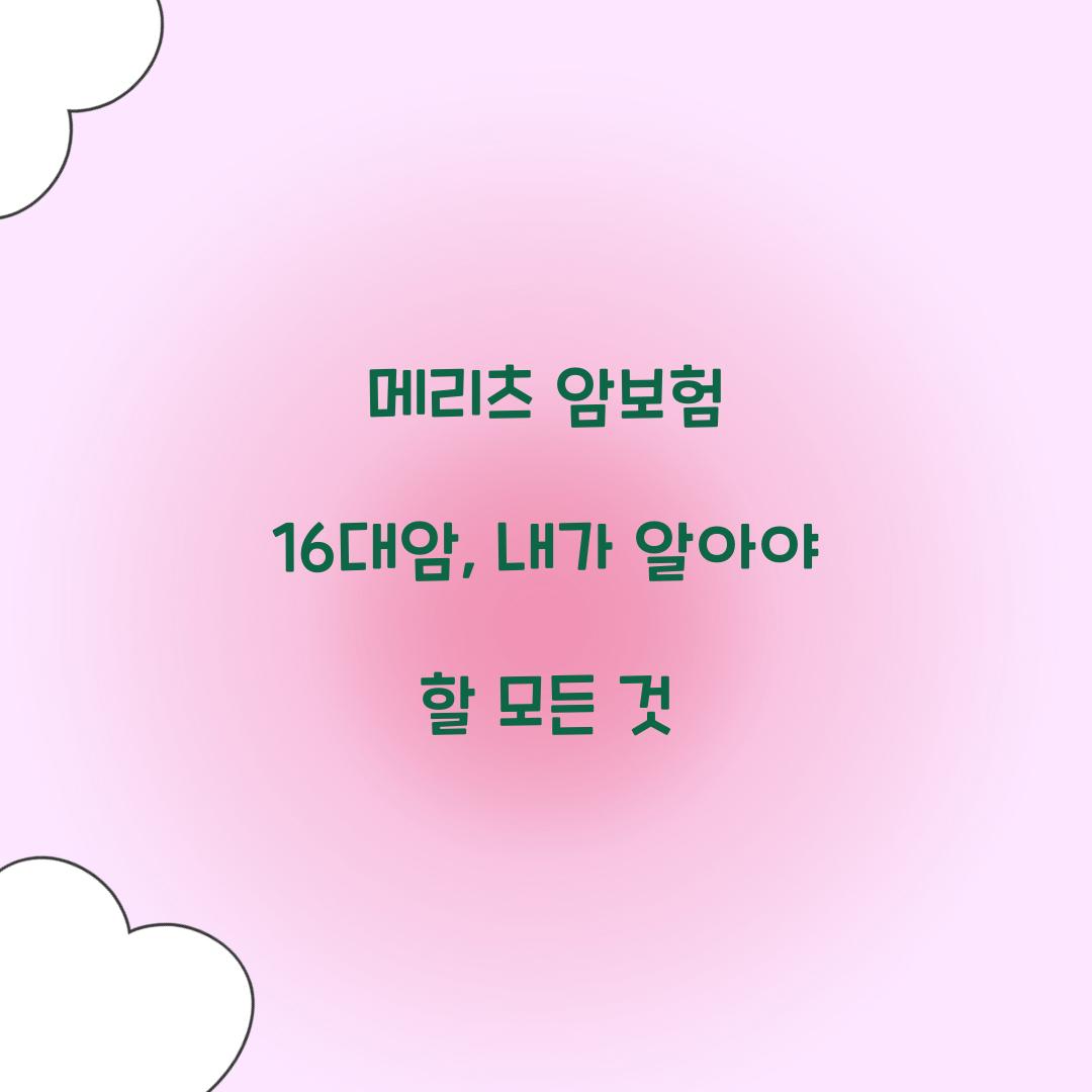 메리츠 암보험 16대암, 내가 알아야 할 모든 것