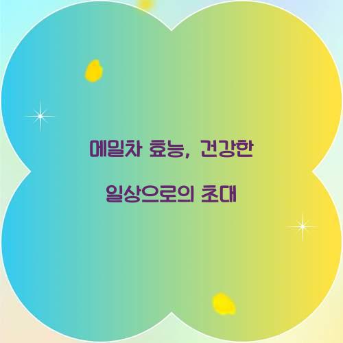 메밀차 효능, 건강한 일상으로의 초대