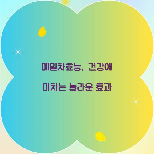 메밀차효능, 건강에 미치는 놀라운 효과