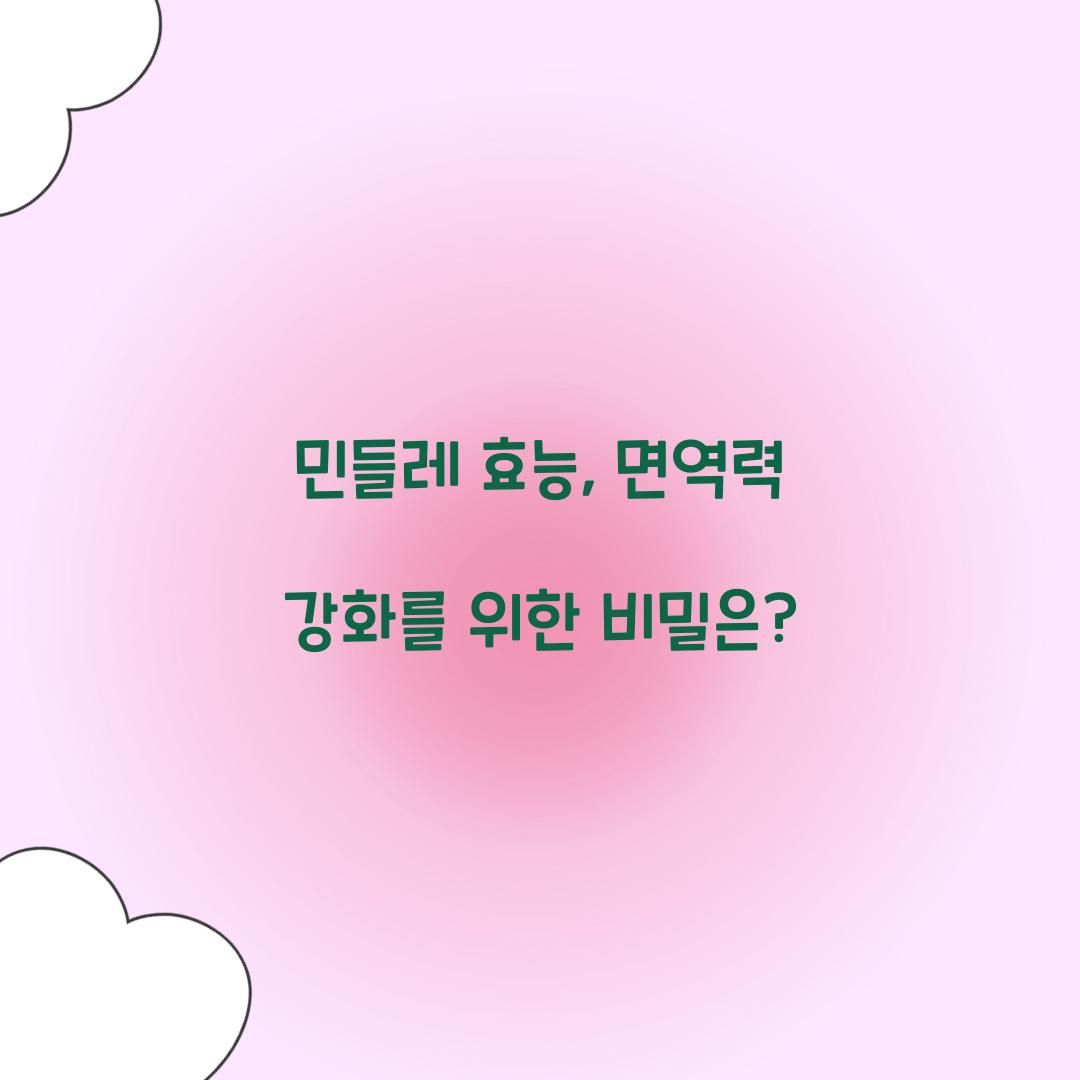 민들레 효능, 면역력 강화를 위한 비밀은?