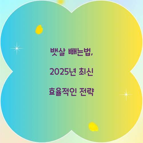 뱃살 빼는법, 2025년 최신 효율적인 전략