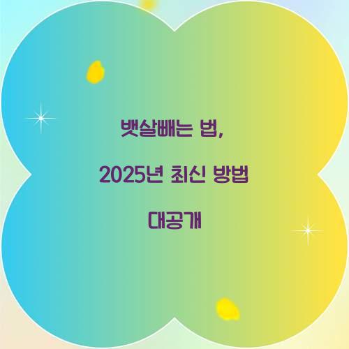뱃살빼는 법, 2025년 최신 방법 대공개