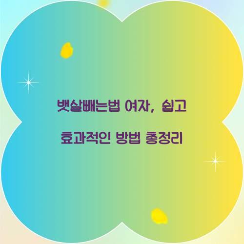 뱃살빼는법 여자, 쉽고 효과적인 방법 총정리