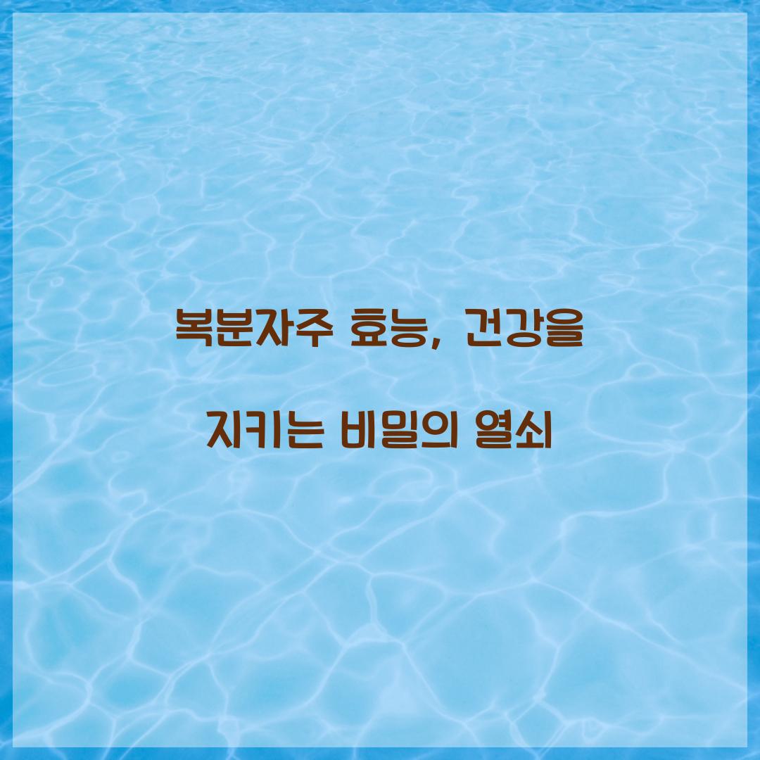 복분자주 효능, 건강을 지키는 비밀의 열쇠