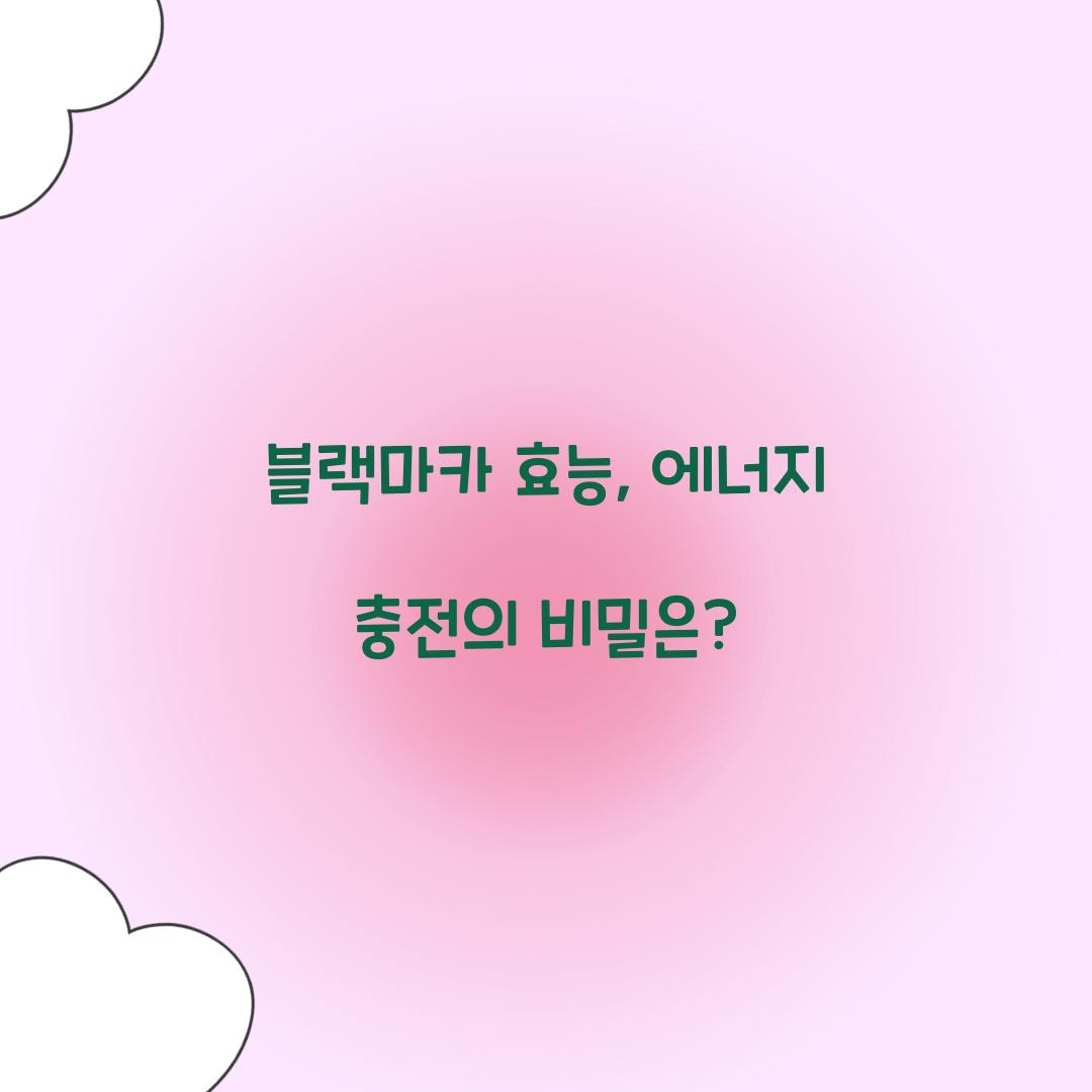 블랙마카 효능, 에너지 충전의 비밀은?
