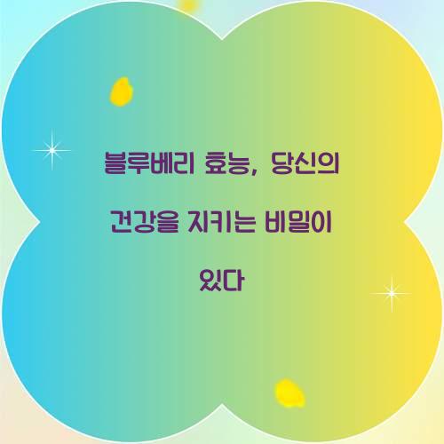 블루베리 효능, 당신의 건강을 지키는 비밀이 있다