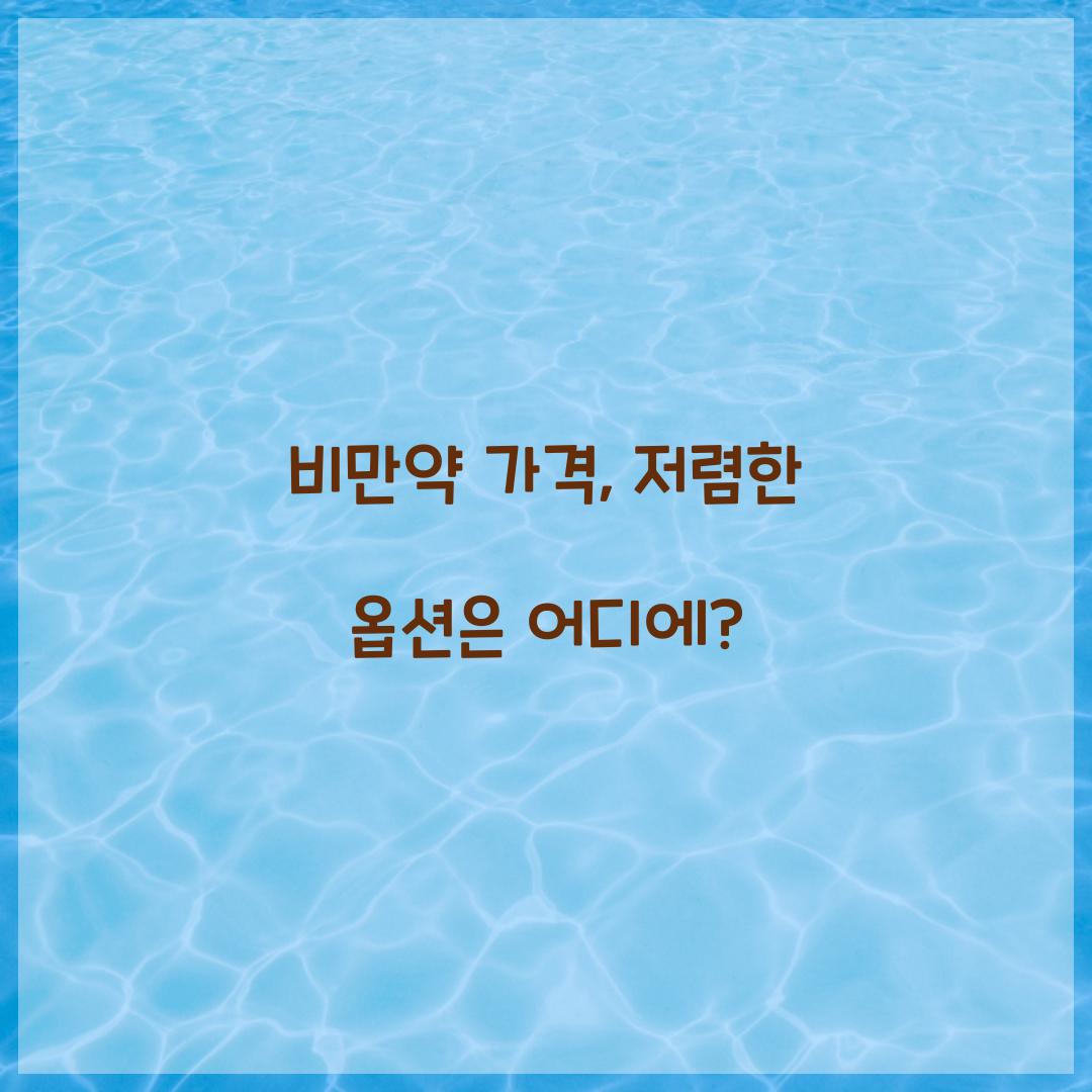 비만약 가격, 저렴한 옵션은 어디에?