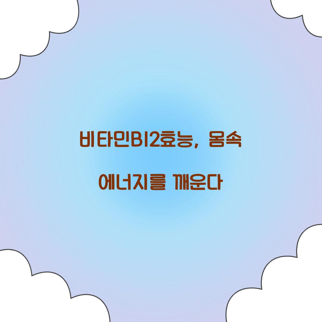 비타민B12효능, 몸속 에너지를 깨운다