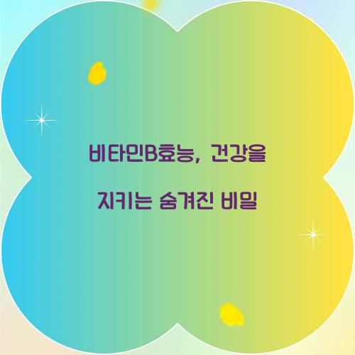 비타민B효능, 건강을 지키는 숨겨진 비밀