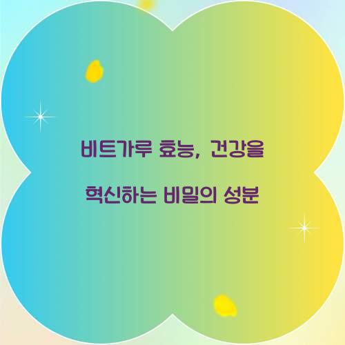 비트가루 효능, 건강을 혁신하는 비밀의 성분 비트가루 효능, 건강을 혁신하는 비밀의 성분