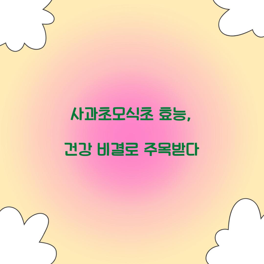 사과초모식초 효능, 건강 비결로 주목받다