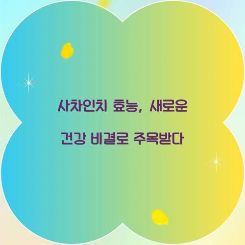 사차인치 효능, 새로운 건강 비결로 주목받다