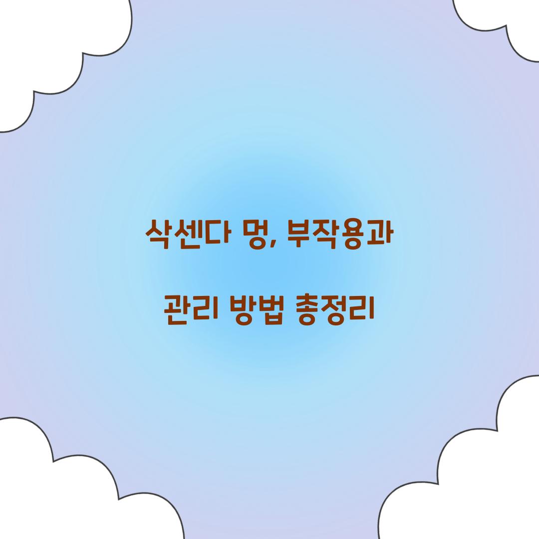 삭센다 멍, 부작용과 관리 방법 총정리
