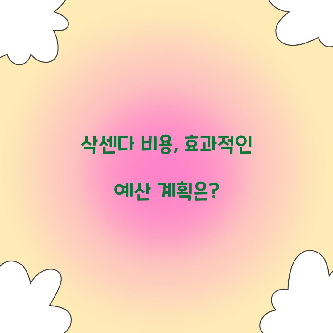 삭센다 비용, 효과적인 예산 계획은?