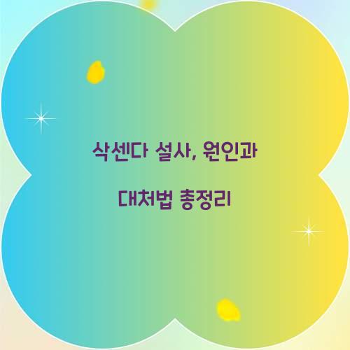 삭센다 설사, 원인과 대처법 총정리